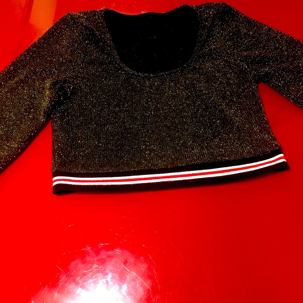 Sparkly Me Crop Top